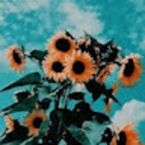 Meet your Posher, Amelia